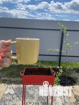 Дом 62м², 1-этажный, посуточно,