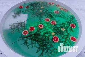 Дом 53м², 1-этажный, посуточно,