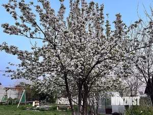 Дом 20м², 1-этажный, участок 5 сот.