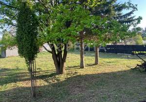 Дом 220м², 2-этажный, участок 0 сот.