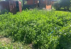 Дом 56м², 2-этажный, участок 8 сот.