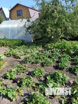 Дача 32м², 2-этажный, участок 4 сот.