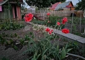 Дом 48м², 2-этажный, участок 0 сот.