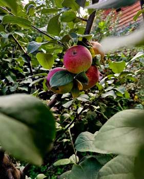 Дом 210м², 3-этажный, участок 6 сот.