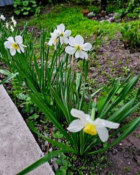 Дом 210м², 3-этажный, участок 6 сот.