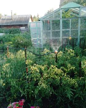 Дом 30м², 2-этажный, участок 5 сот.