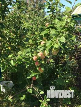 Дом 30м², 1-этажный, участок 4 сот.