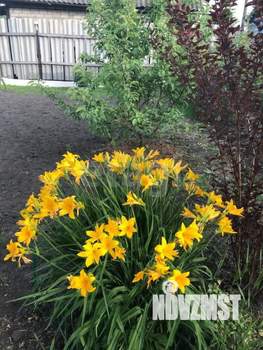 Дом 30м², 1-этажный, участок 4 сот.