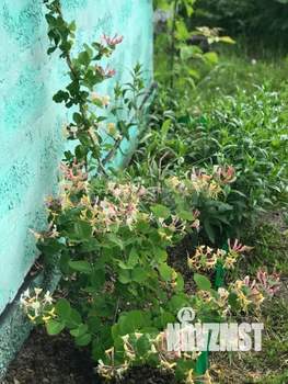 Дом 30м², 1-этажный, участок 4 сот.