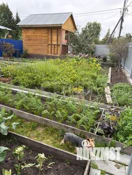 Дом 12м², 1-этажный, участок 2 сот.