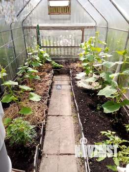 Дом 20м², 1-этажный, участок 3 сот.