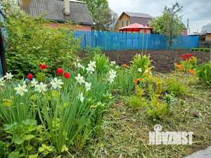 Дом 20м², 1-этажный, участок 4 сот.