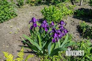 Дом 68м², 2-этажный, участок 6 сот.