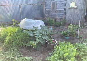 Дом 45м², 2-этажный, участок 10 сот.