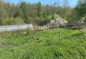 Дом 30м², 1-этажный, участок 6 сот.