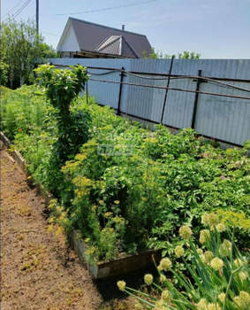 Дом 90м², 1-этажный, участок 11 сот.