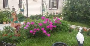 Дом 118м², 2-этажный, участок 6 сот.