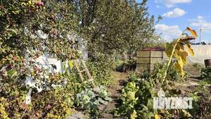 Дом 15м², 1-этажный, участок 4 сот.