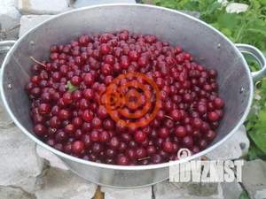 Дом 20м², 1-этажный, участок 5 сот.