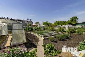 Дом 50м², 1-этажный, участок 6 сот.