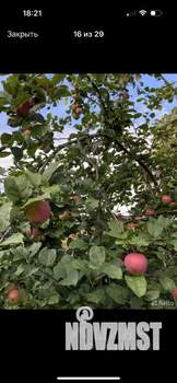 Дом 38м², 2-этажный, участок 4 сот.