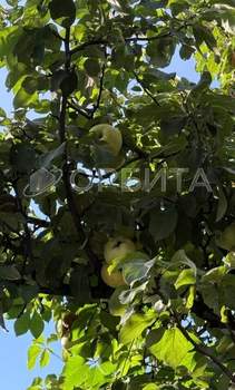 Дом 120м², 2-этажный, участок 0 сот.