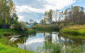 Дом 68м², 1-этажный, участок 8 сот.