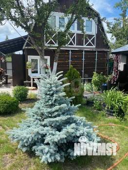 Дом 45м², 2-этажный, участок 5 сот.