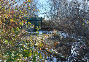 Дом 50м², 1-этажный, участок 10 сот.