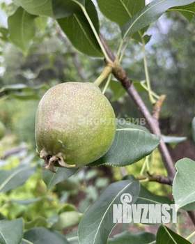 Дом 45м², 1-этажный, участок 5 сот.