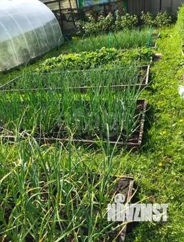 Дом 12м², 1-этажный, участок 5 сот.