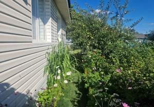 Дом 60м², 2-этажный, участок 9 сот.