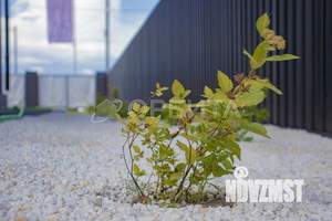 Дом 265м², 2-этажный, участок 8 сот.