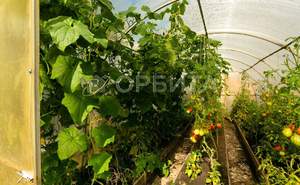 Дом 20м², 2-этажный, участок 0 сот.