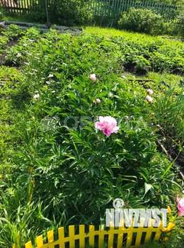 Дом 12м², 2-этажный, участок 5 сот.