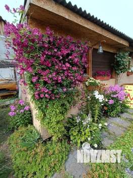 Дом 20м², 1-этажный, участок 3 сот.