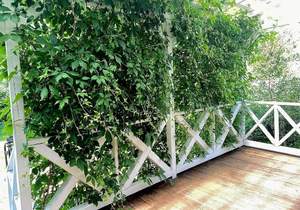 Дом 210м², 3-этажный, участок 6 сот.