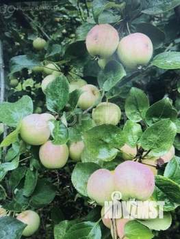 Дом 76м², 2-этажный, участок 9 сот.