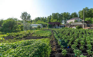 Дом 18м², 1-этажный, участок 8 сот.