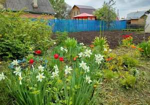 Дом 16м², 1-этажный, участок 4 сот.