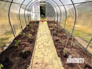 Дом 20м², 1-этажный, участок 5 сот.