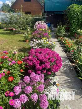 Дом 45м², 2-этажный, участок 5 сот.