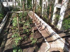 Дом 54м², 2-этажный, участок 4 сот.