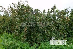 Дом 20м², 2-этажный, участок 5 сот.