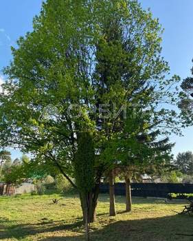 Дом 220м², 2-этажный, участок 0 сот.