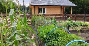 Дача 52м², 1-этажный, участок 4 сот.