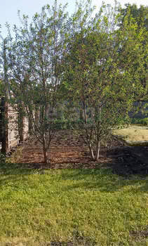 Дом 20м², 1-этажный, участок 10 сот.