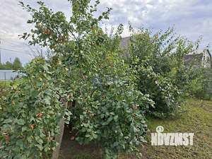 Дом 49м², 1-этажный, участок 16 сот.