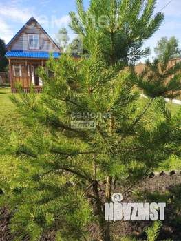 Дом 60м², 2-этажный, участок 8 сот.