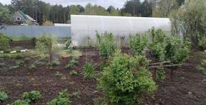 Дом 10м², 1-этажный, участок 6 сот.